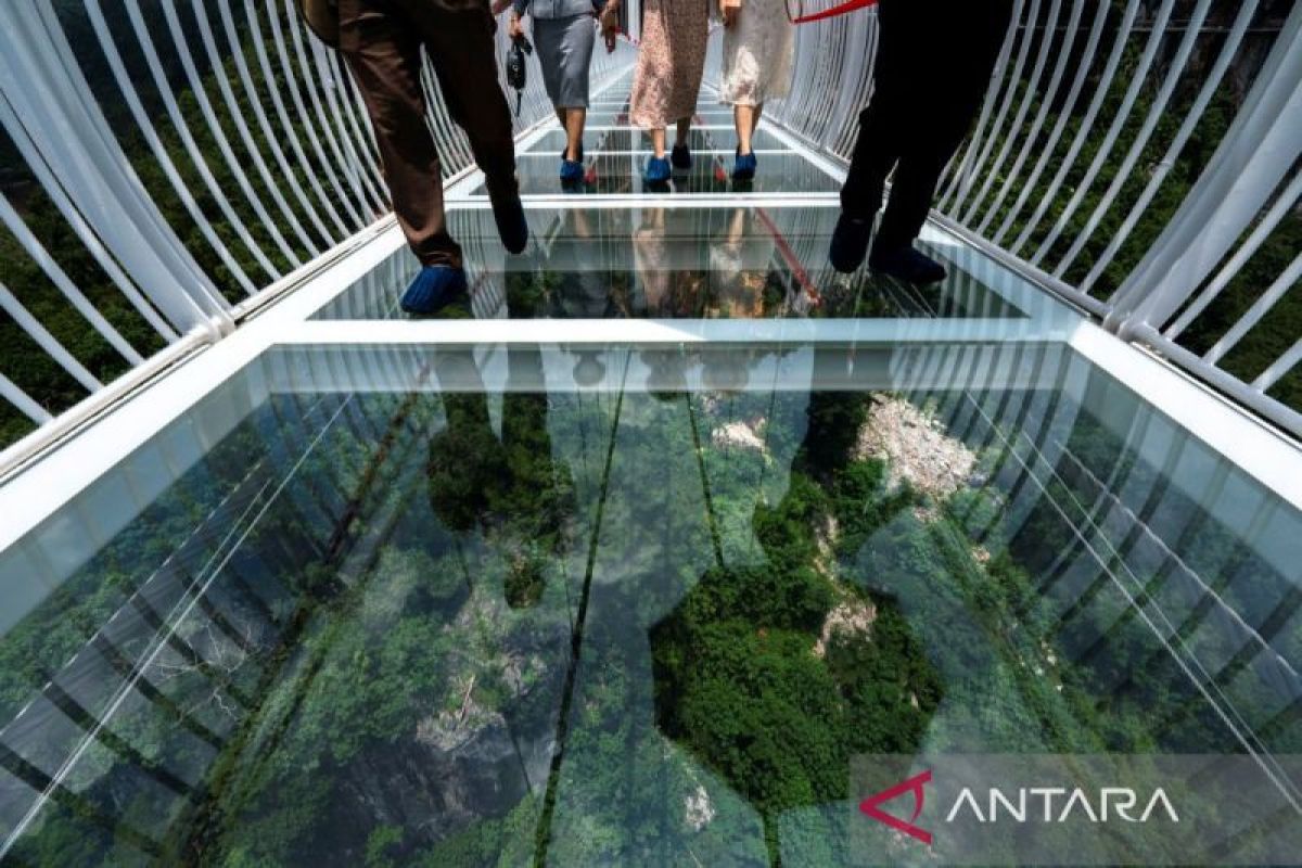 Ini dia jembatan kaca 150 meter di Vietnam,  'Jangan lihat ke bawah'