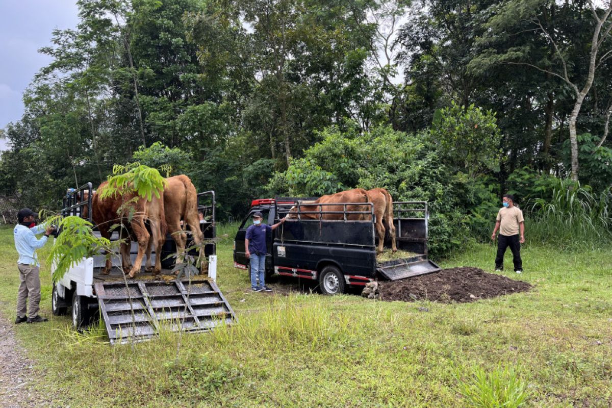 Integrated livestock evacuation in volcano disaster mitigation