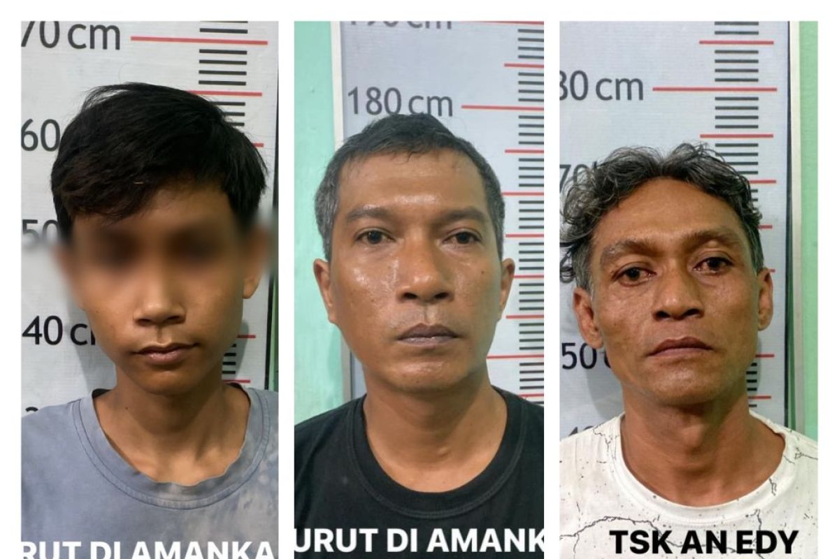 Satresnarkoba Polres Langkat tangkap tiga pemilik ganja
