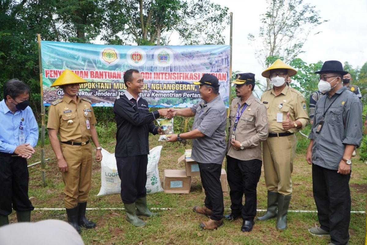 Kementan beri bantuan pupuk pada petani durian di Gunung Kidul