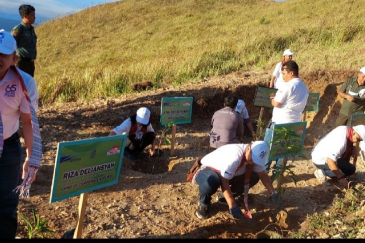 Pemkab Samosir apresiasi penanaman pohon dan pemasangan solar panel di Desa Hariara Pohan