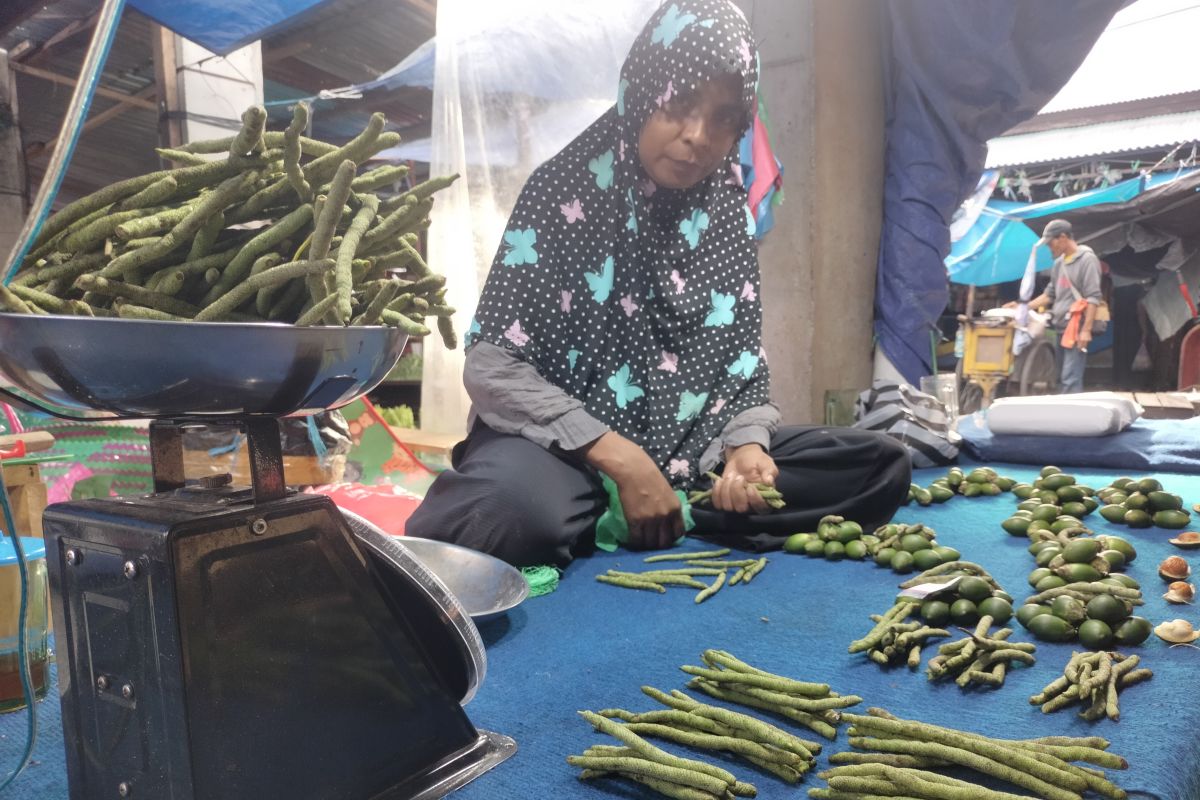 Harga buah sirih di Manokwari tembus Rp200 ribu/kg