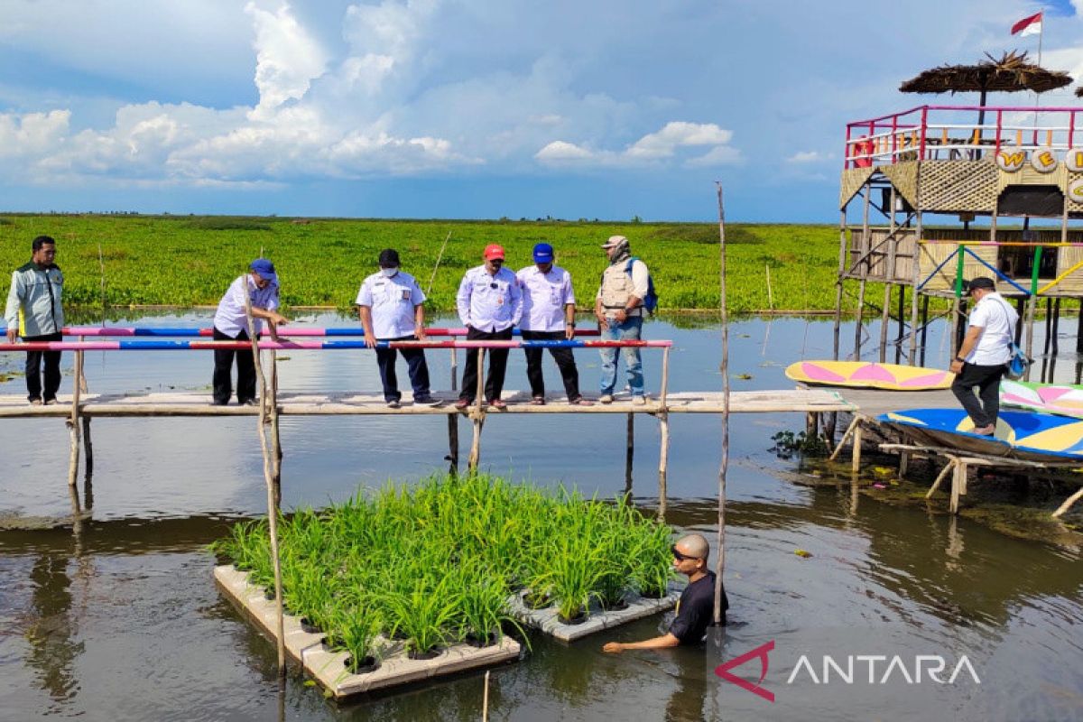 Pemkab HSS dorong petani kembangkan swadaya Padi Apung