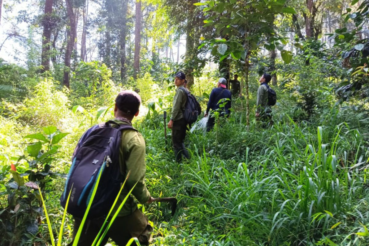 Jaga kawasan Gunung Lawu, Pertamina gelar program pelestarian alam