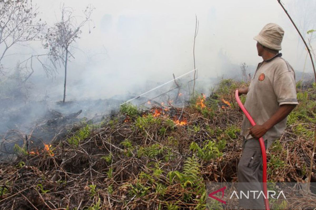 Waspada karhutla, BMKG deteksi 10 titik panas di wilayah barat Aceh