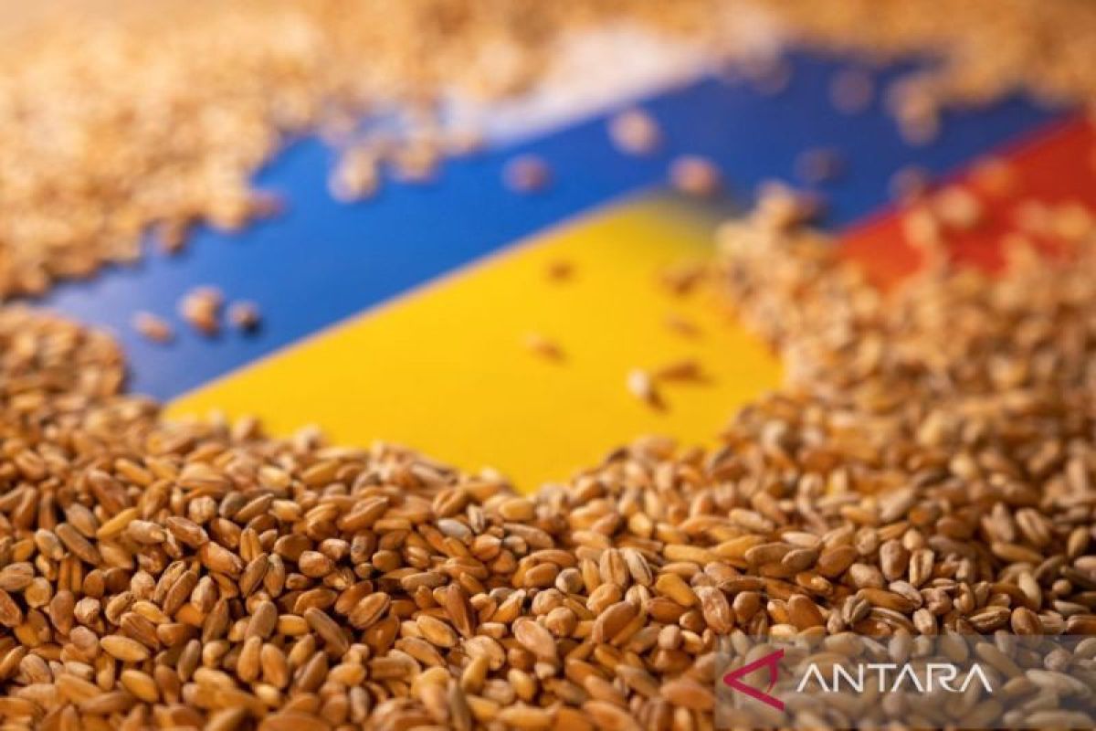 Ukraina ekspor 370 ribu ton lebih biji-bijian di bawah kesepakatan PBB