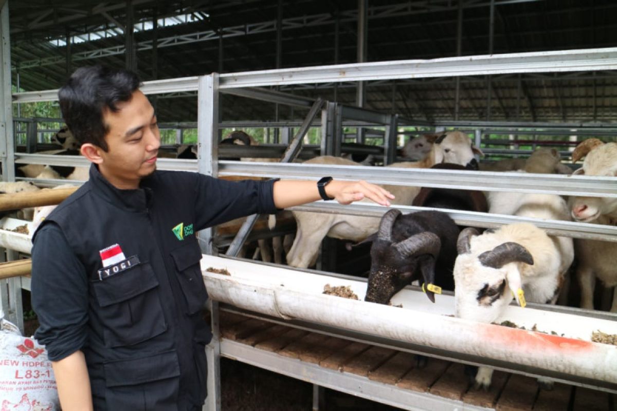 Pastikan hewan kurban sehat, Dompet Dhuafa Lampung hadirkan dokter hewan di DD Farm