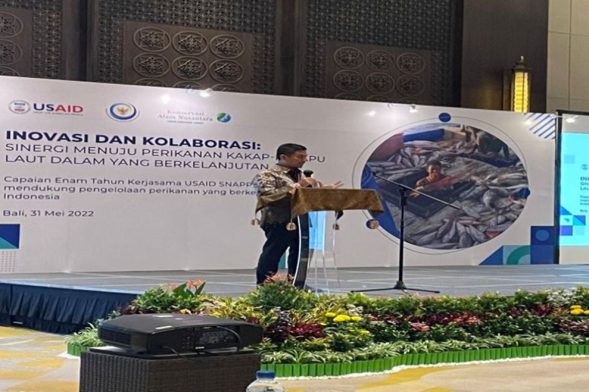 Usung keberlanjutan, ini strategi KKP kelola perikanan kakap-kerapu laut dalam