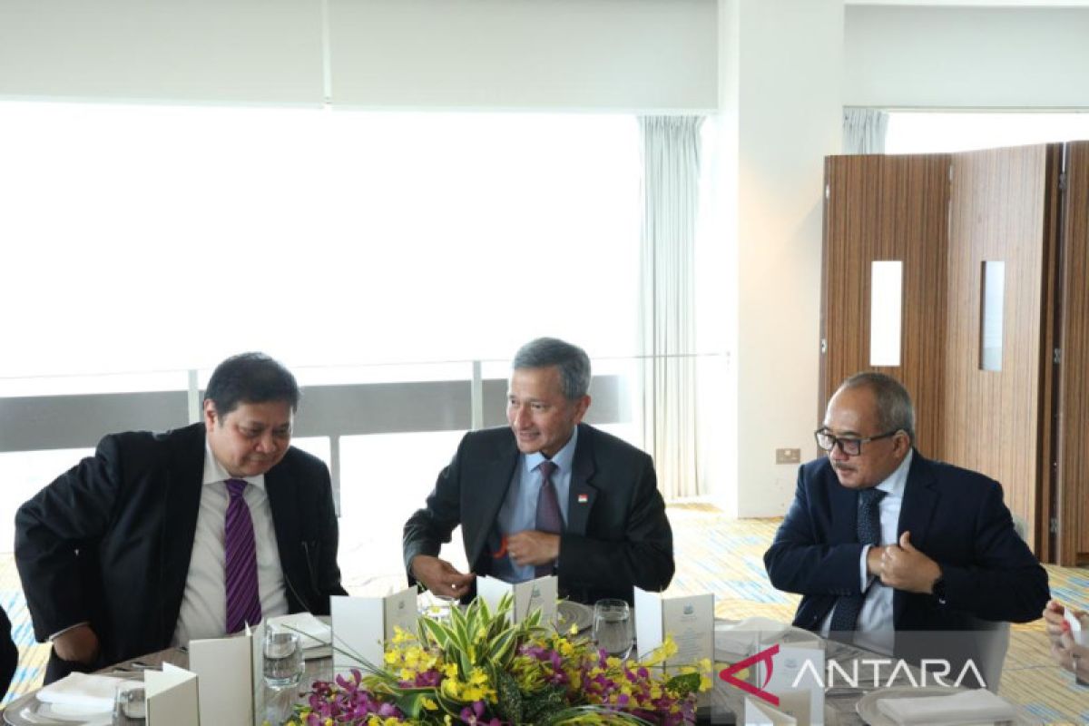 Airlangga: Indonesia-Singapura perlu pererat kerjasama di regional