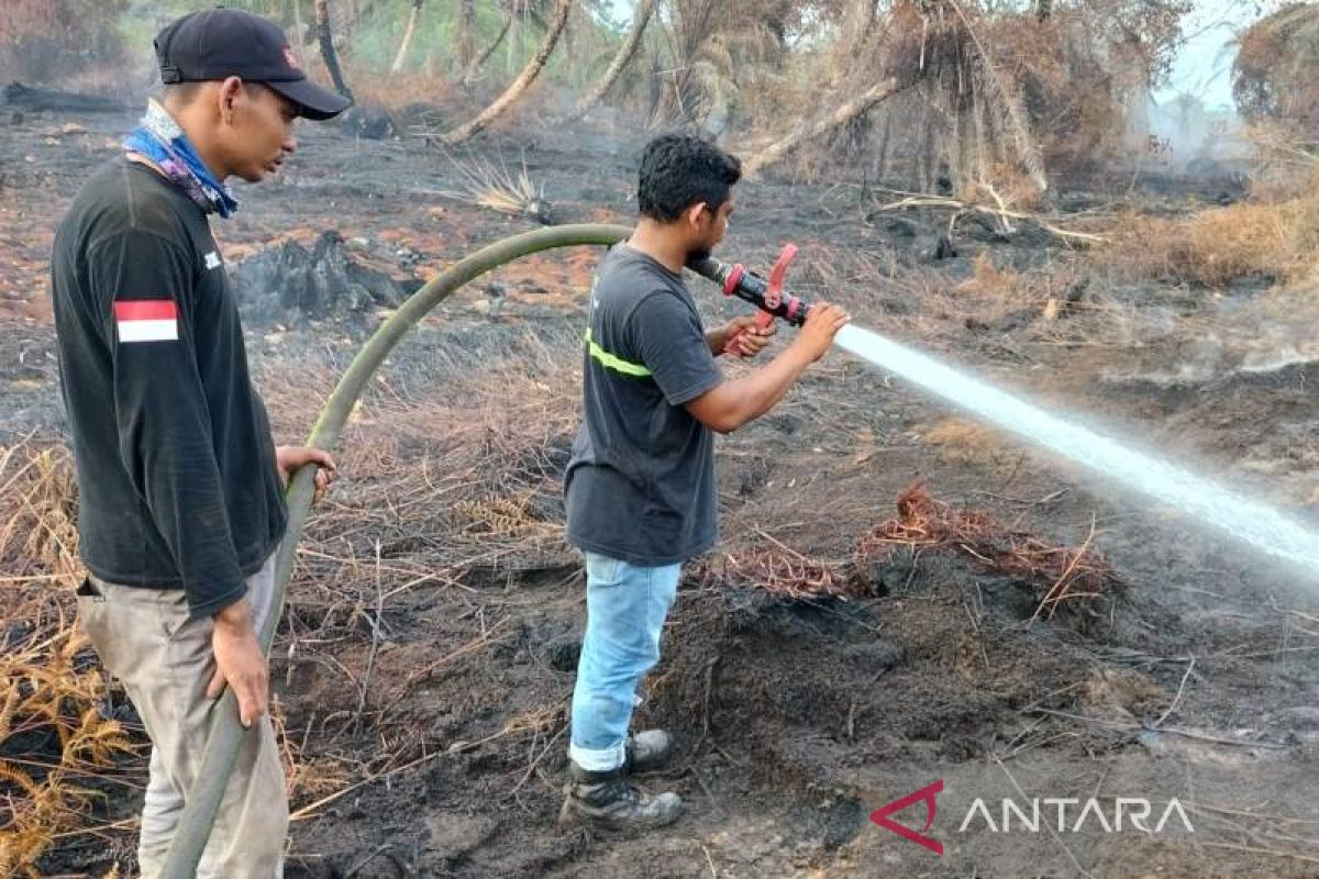 Luas lahan gambut terbakar di Nagan Raya capai 26 Hektare