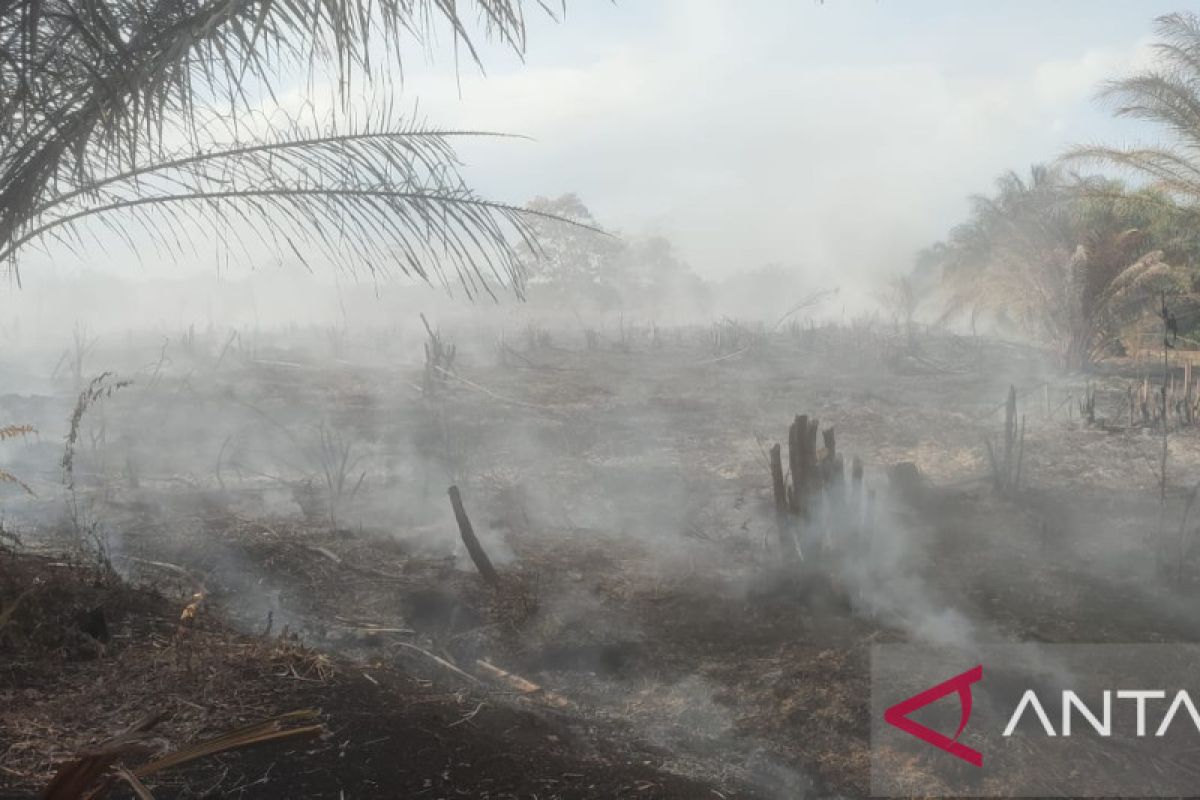 Kabut asap selimuti sebagian wilayah Mukomuko