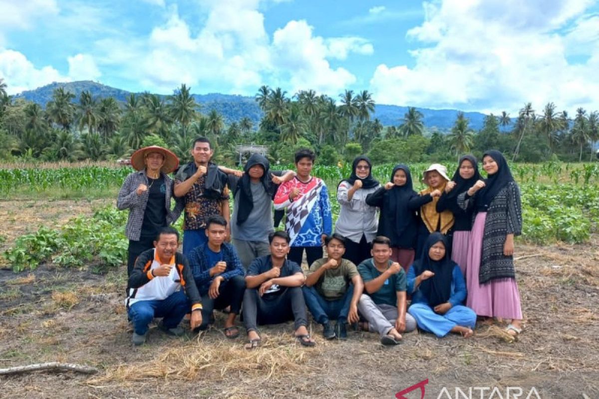CIPS: regenerasi petani penting untuk ketahanan pangan Indonesia