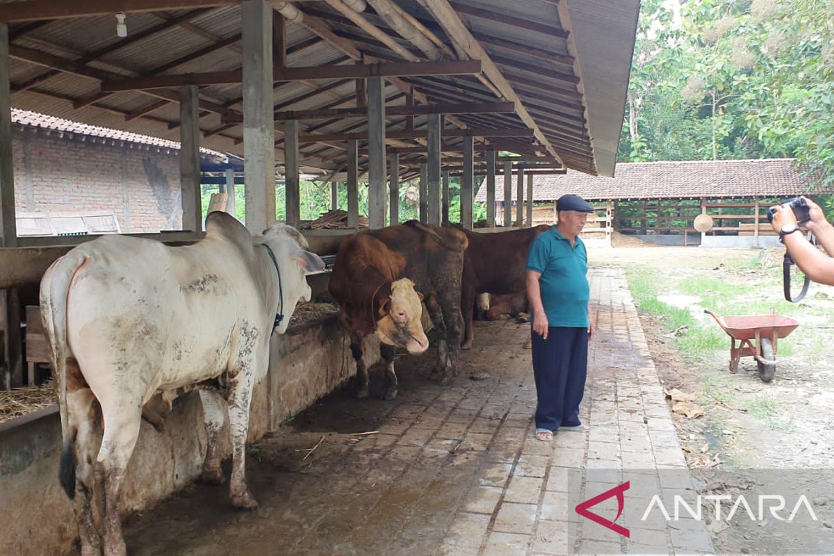 Pemkab Gunung Kidul menutup 11 pasar hewan akibat meluasnya PMK