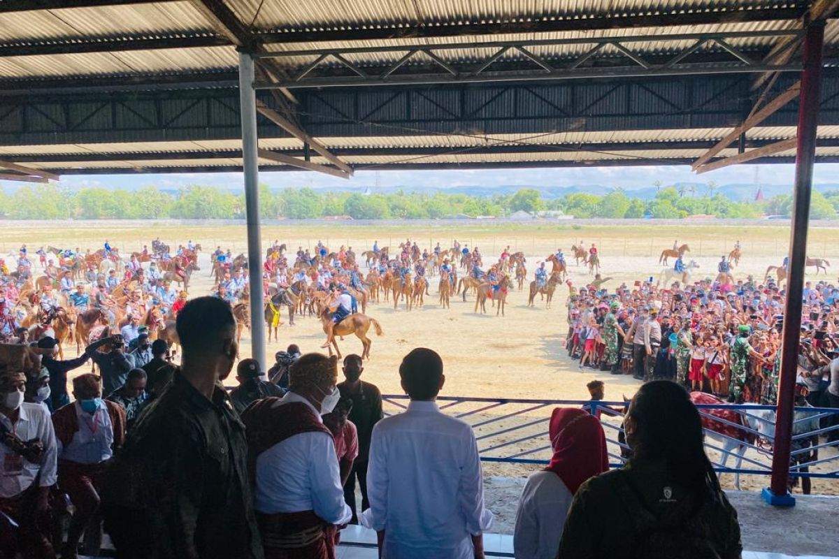 Presiden Jokowi saksikan ekshibisi pacuan kuda Sumba Timur