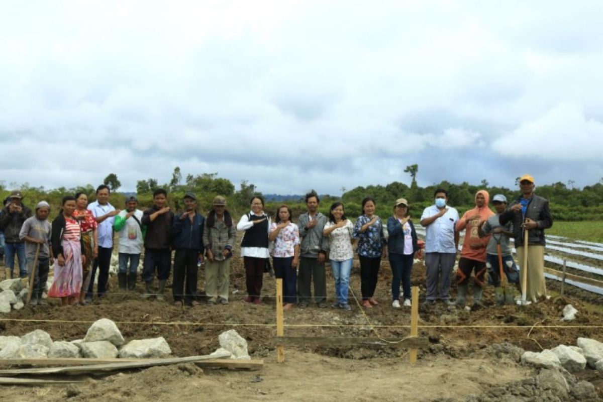 Kementan  bantu pembangunan bangsal untuk petani di Samosir