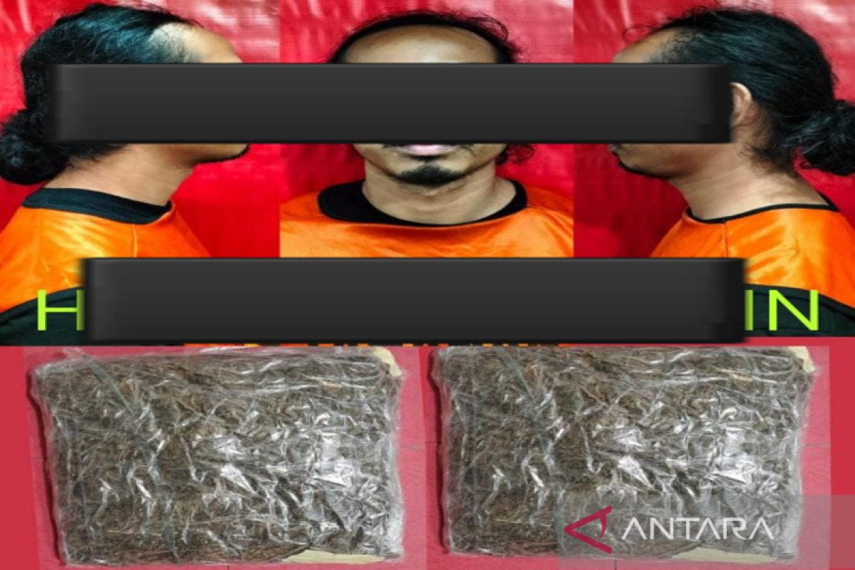 Polda Kalsel mengungkap penyelundupan satu kilogram ganja