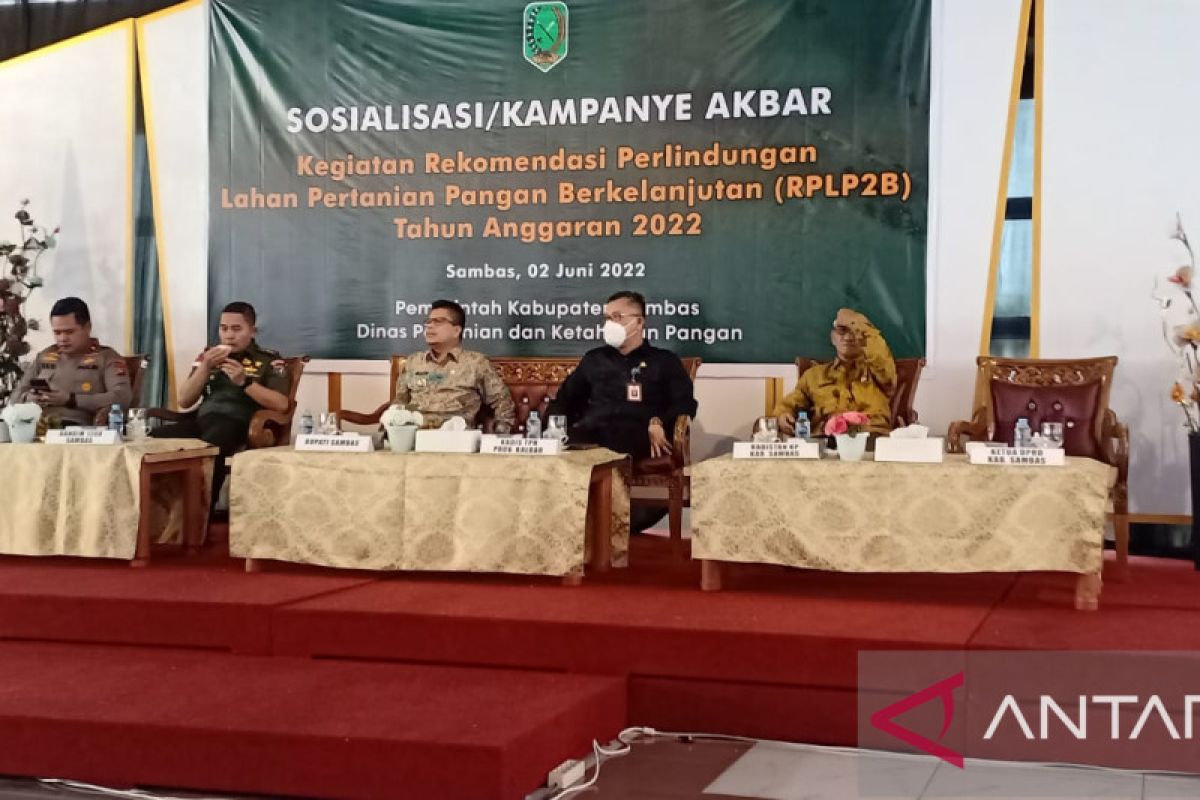 Kabupaten Sambas jadi perhatian untuk lahan pertanian pangan berkelanjutan