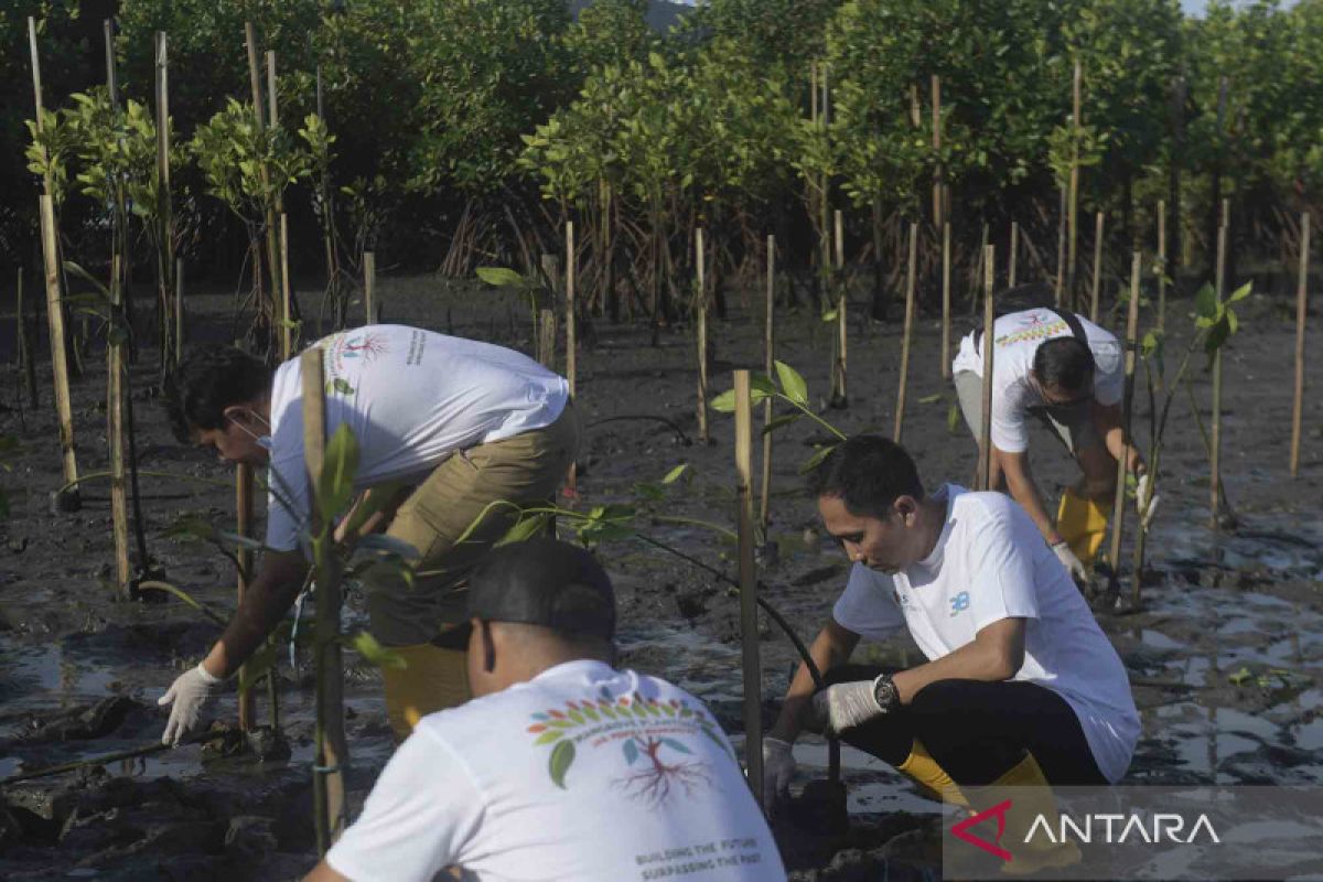 DEB jelaskan teknis pemasangan pipa bawah mangrove Tahura Bali