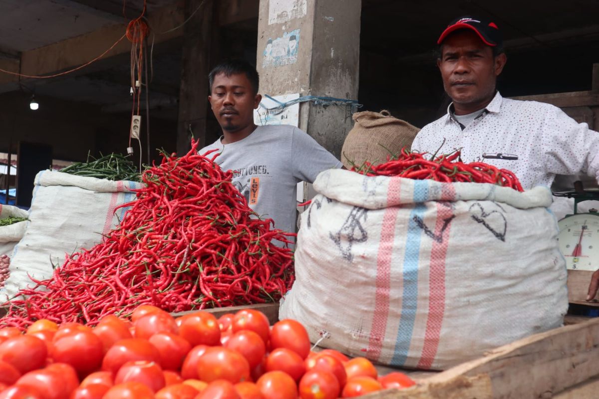 Stok terbatas, Harga cabai merah meroket dalam sepekan terakhir