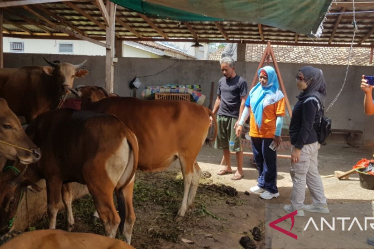 Diskannak OKU siapkan penyemprotan  disinfektan untuk hewan ternak