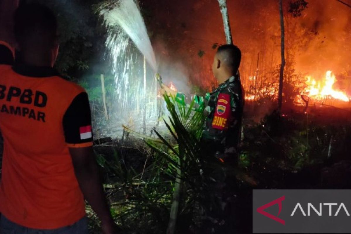 Tiga hektare lahan sawit dan karet di Kampar ludes terbakar