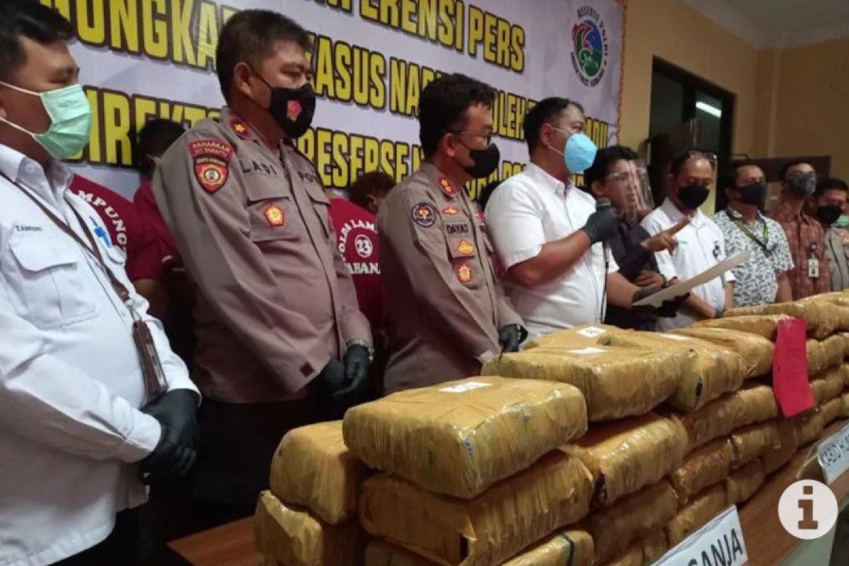 Lampung police seize 69 kg of marijuana, arrest three suspects
