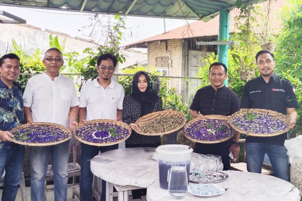 Dosen Unimed pengabdian masyarakat guna tingkatkan UMKM Bunga Telang