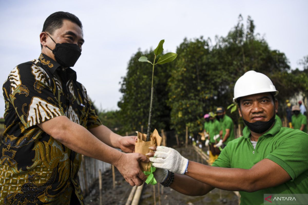 Telan biaya fantastis, pembangunan "green port" butuh komitmen serius