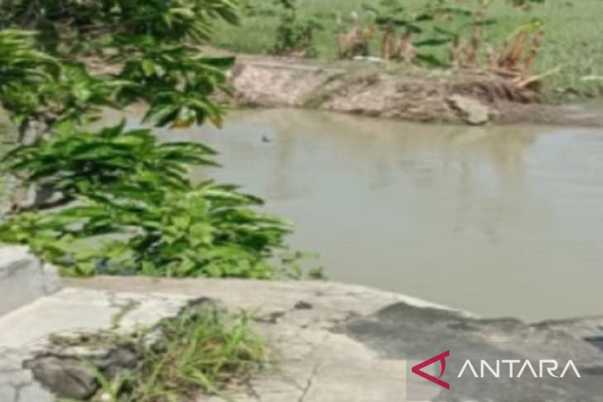 Pemkab Bangkalan minta bantuan pemerintah untuk perbaiki belasan dam rusak