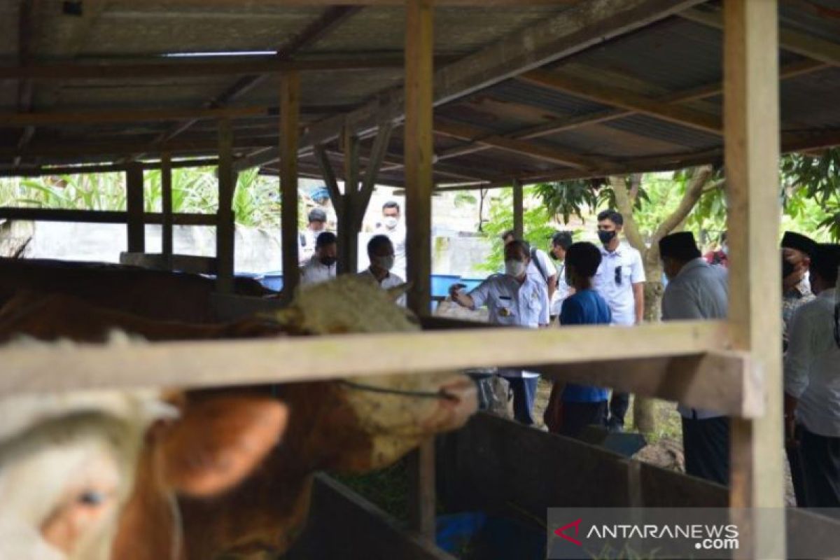 Riau sets up five checkpoints to prevent entry of FMD-infected cattle