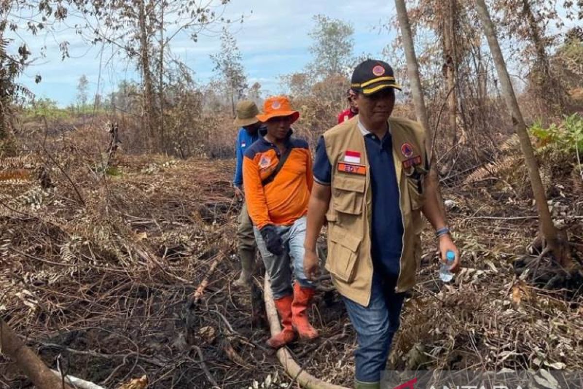 Satgas  karhutla Riau padamkan api di Dumai