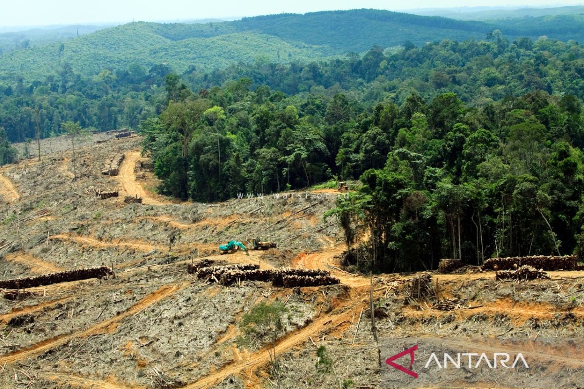 Perubahan iklim dan bencana hidrologi ancam lingkungan hidup