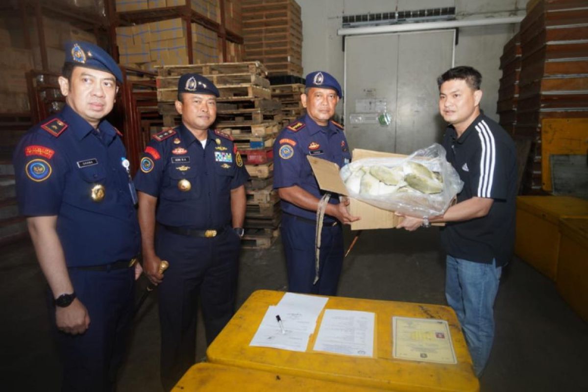 KKP segel 4,74 ton ikan asal Tiongkok dan Malaysia tanpa syarat impor