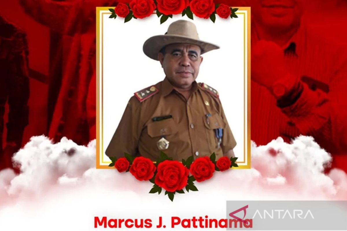 Kepala Dinas Pariwisata Maluku Marcus Pattinama wafat di Bandara Soetta, turut berduka