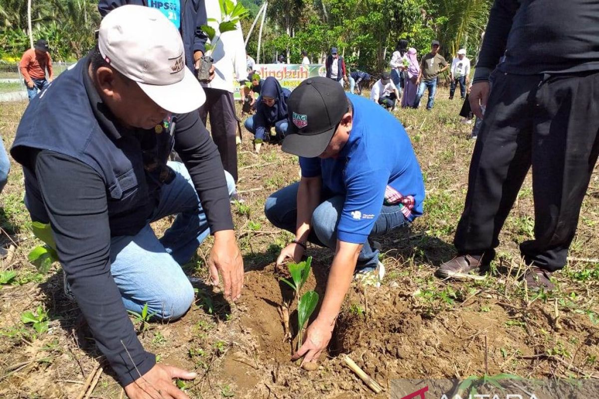 Peringati Hari Lingkungan Hidup, Bone Bolango tanam 5.000 pohon aren