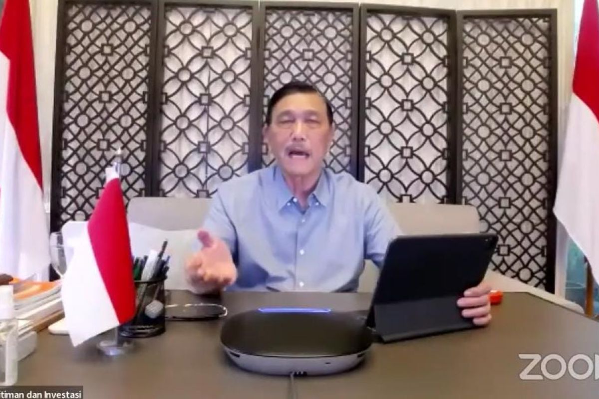 Luhut berharap pasokan dan harga minyak goreng membaik dalam tiga minggu