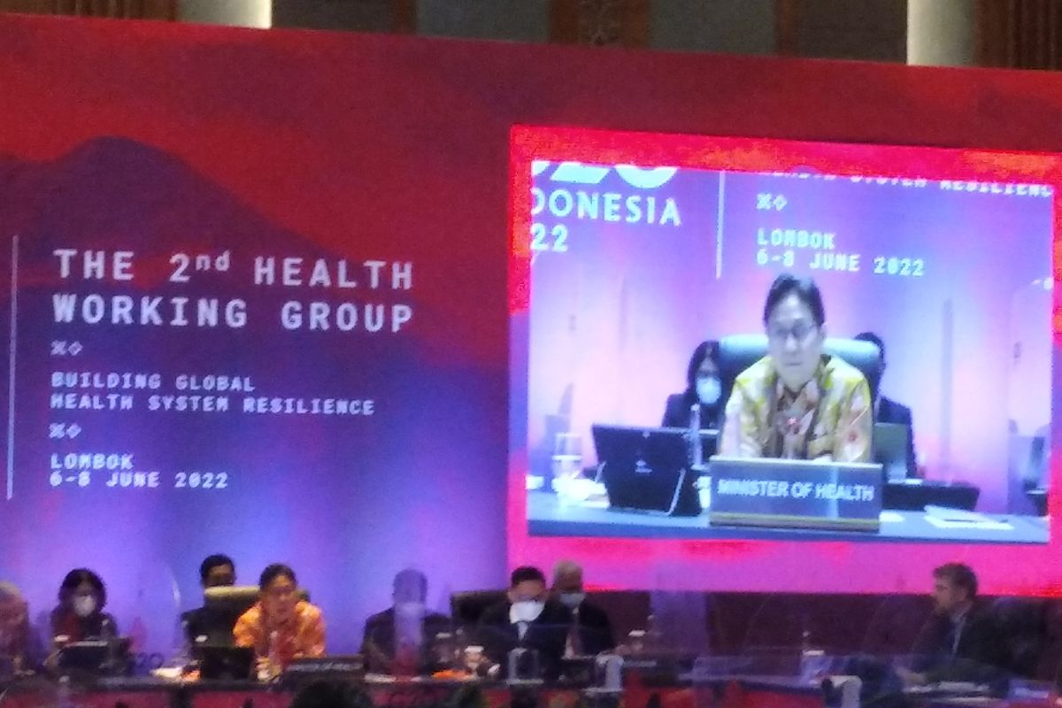 Indonesia offers funding of US$50 billion to FIF: Health Minister