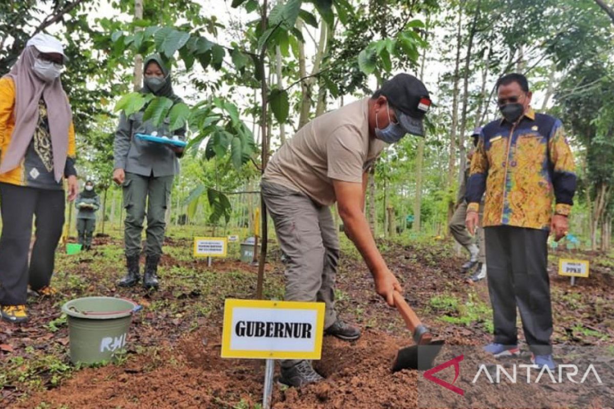 Gubernur Kalsel pimpin penanaman puluhan pohon buah langka