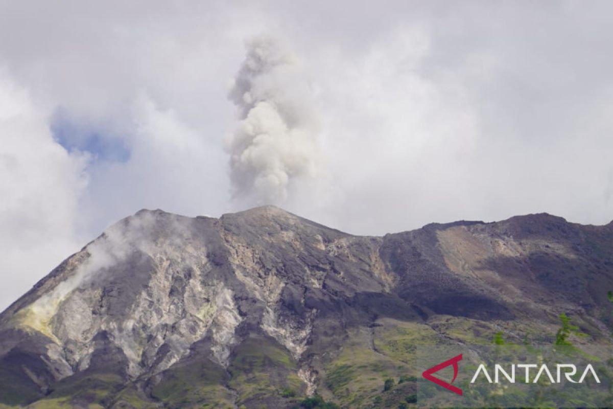 Erupsi setinggi 700 meter terjadi di puncak gunung Ile Lewotolok