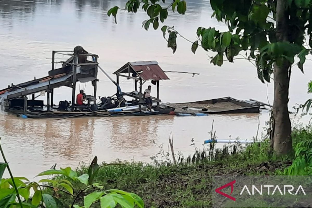 Walhi Jambi minta pemerintah kaji ulang izin tambang rakyat