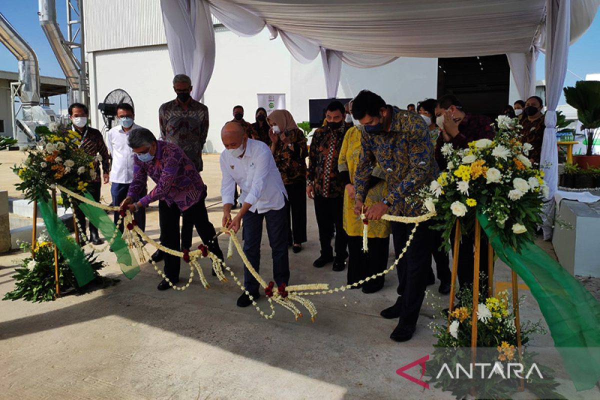 Teten dorong kemitraan koperasi peternak susu dan industri