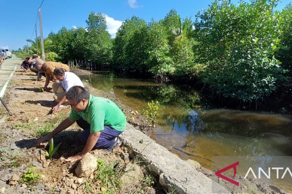 PWI Sorong Raya tanam pohon di kawasan Taman Wisata Mangrove