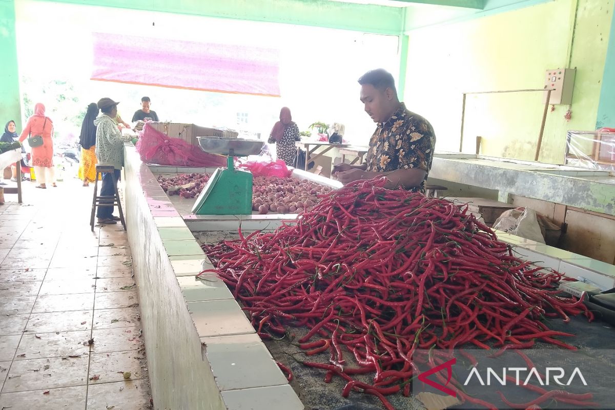 Harga cabai di pasar Kepulauan Meranti masih stabil