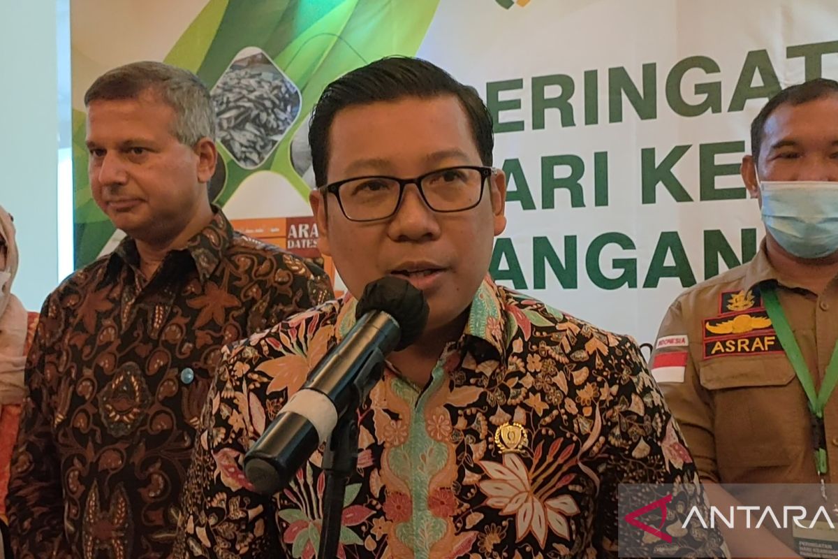 Badan Pangan Nasional pastikan ketersediaan daging sapi masih bisa tercukupi