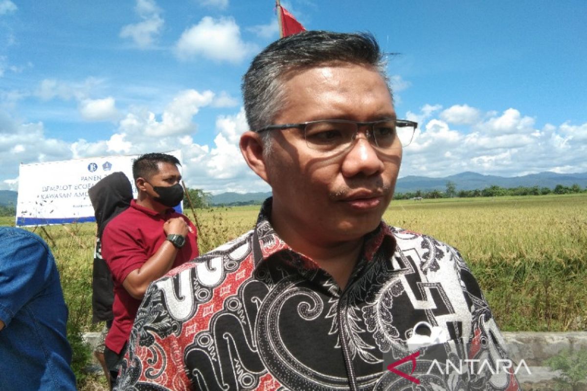 Pemkot Kendari siapkan 100 ekor sapi untuk mendukung pertanian organik Amohalo