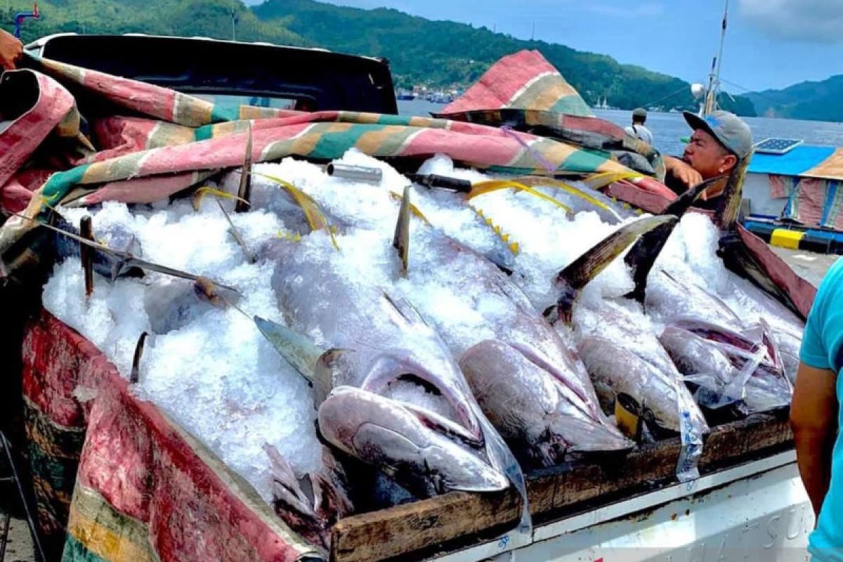 Tingkat kesejahteraan nelayan Sulut membaik