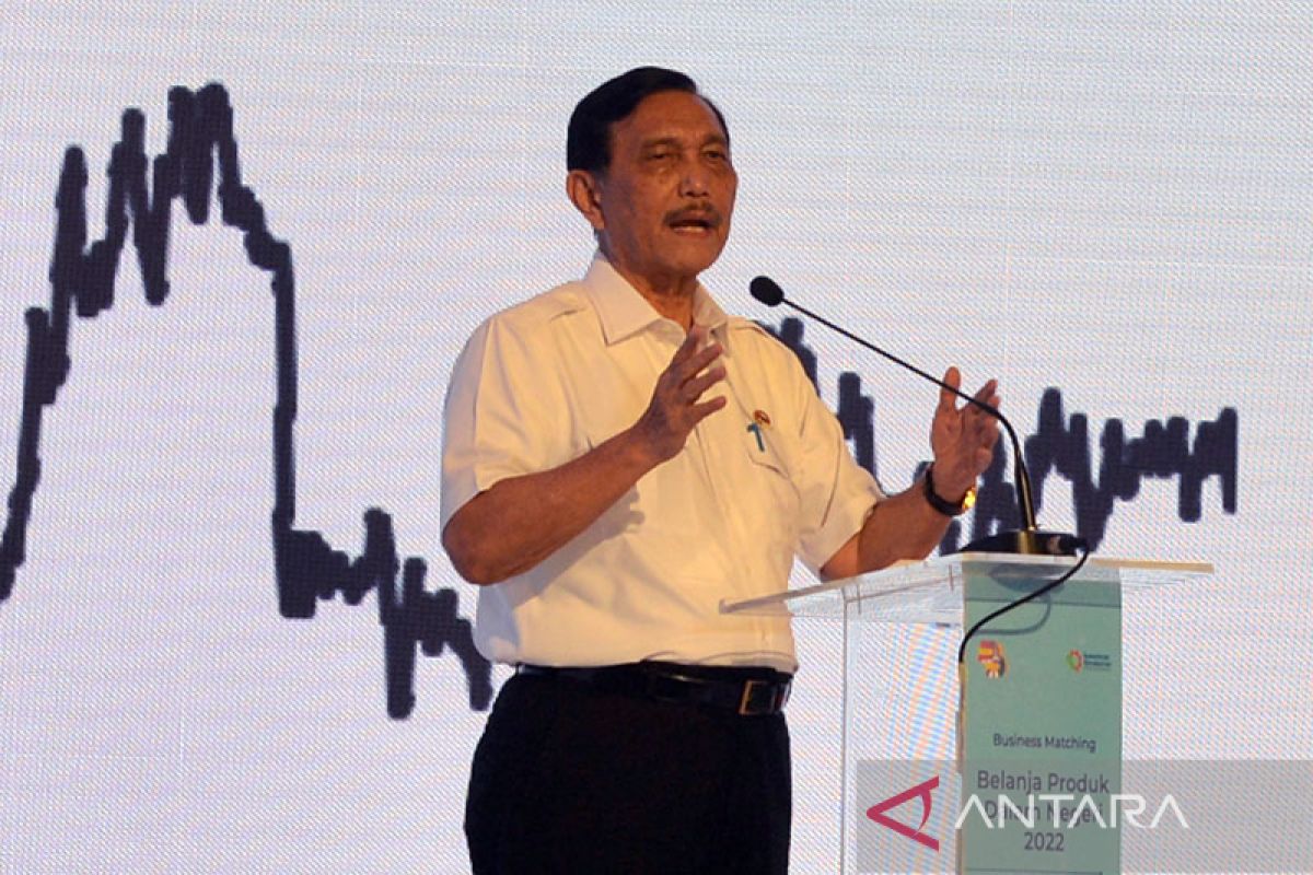 Luhut: Audit perusahaan sawit segera dimulai