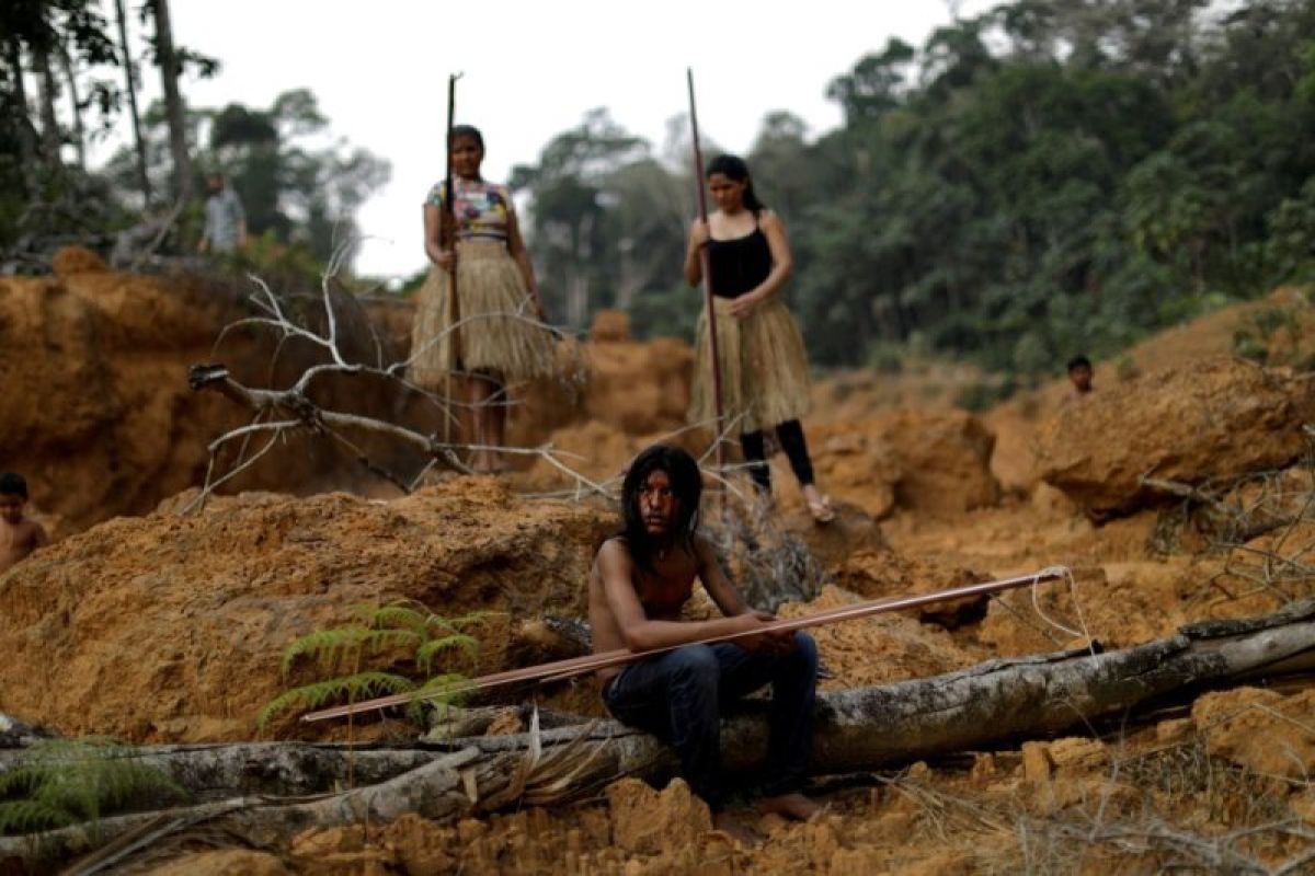 Polisi temukan jasad saat mencari wartawan Inggris Dom Phillips di hutan Amazon