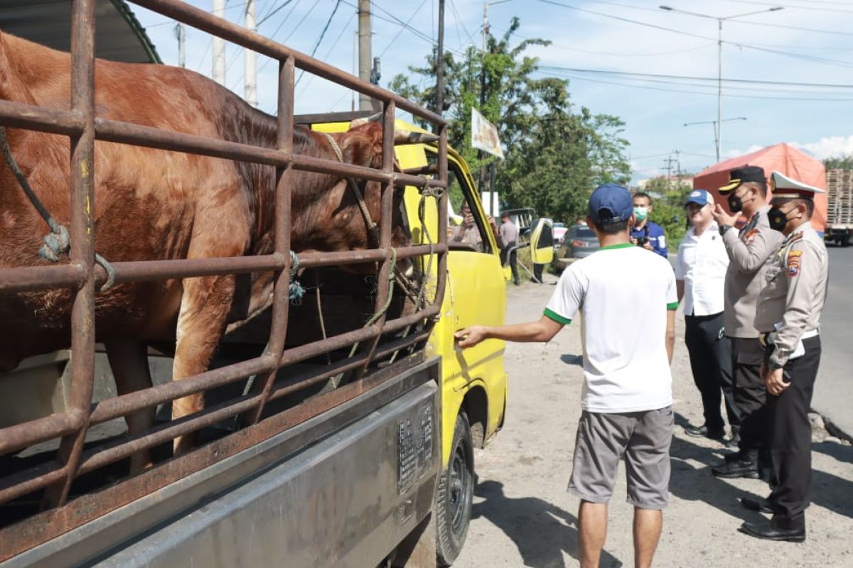 Polresta Sidoarjo masifkan penyekatan hewan ternak di wilayah perbatasan