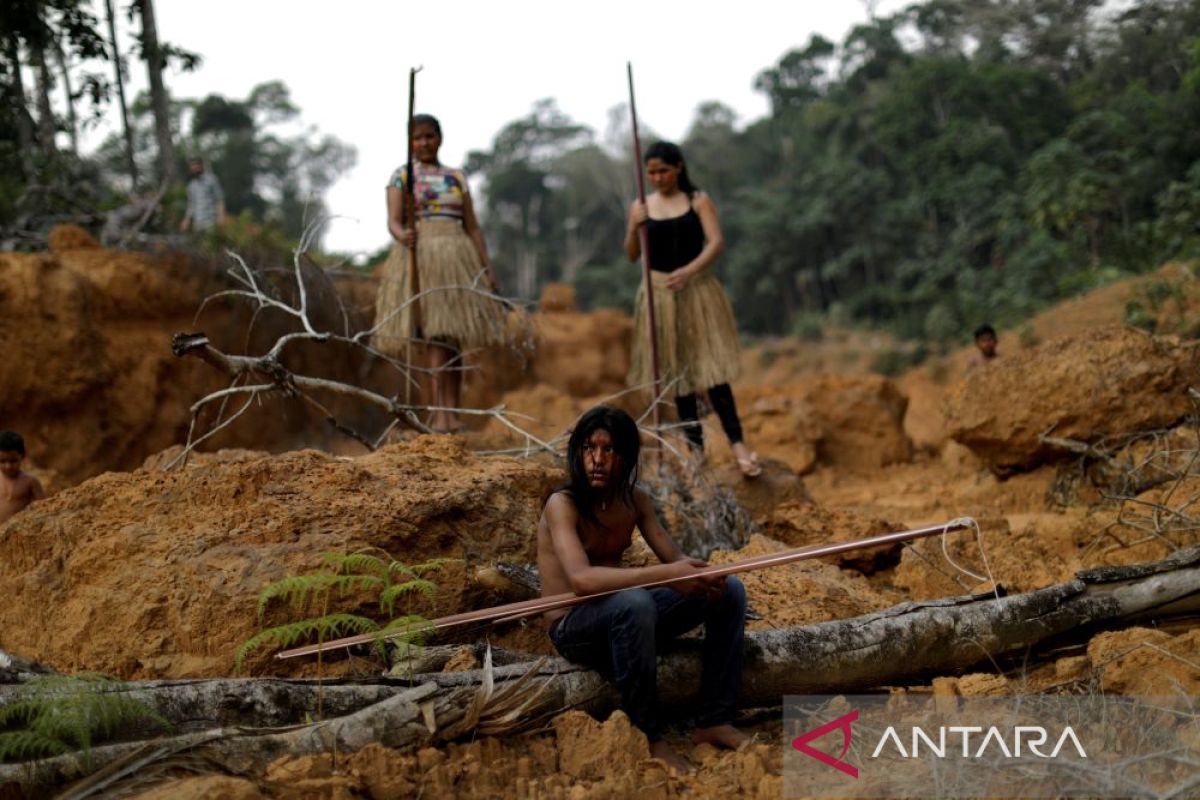 Jurnalis Inggris hilang di hutan Amazon, Brazil gelar pencarian